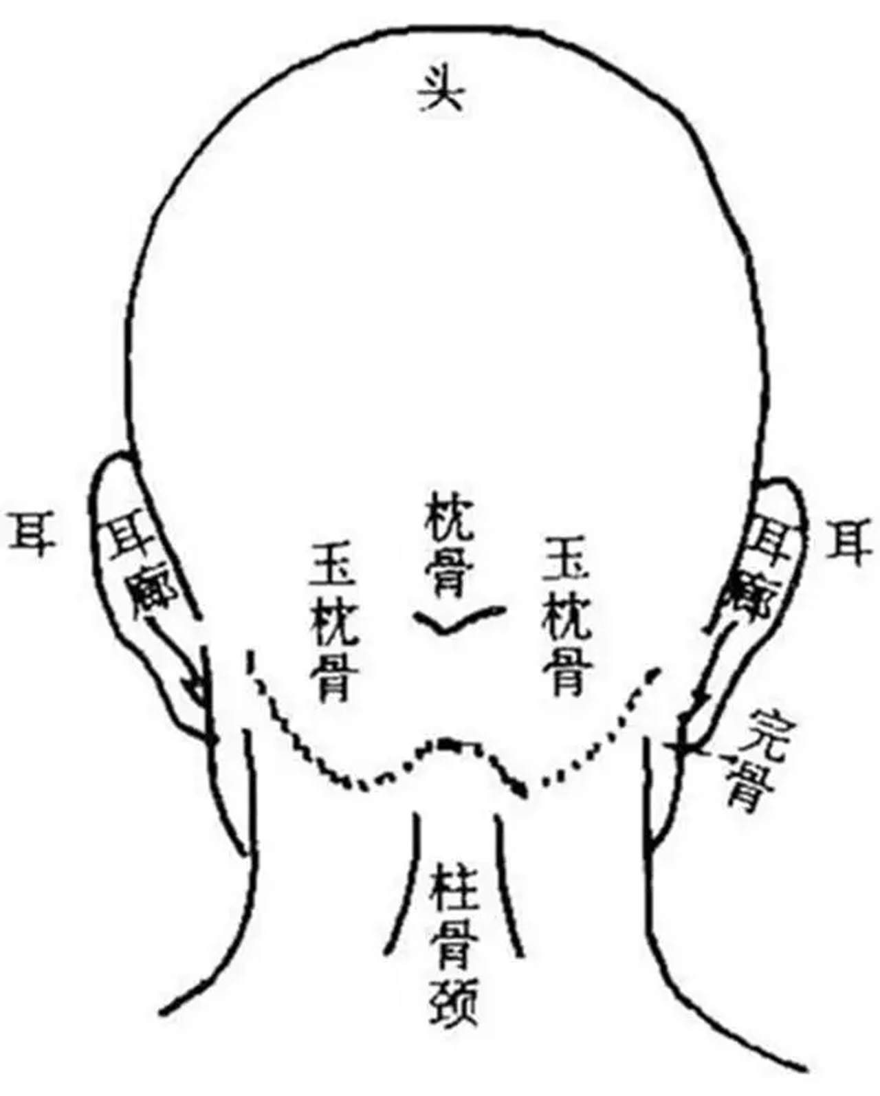 易经面相学看五官图解易经面相学口诀