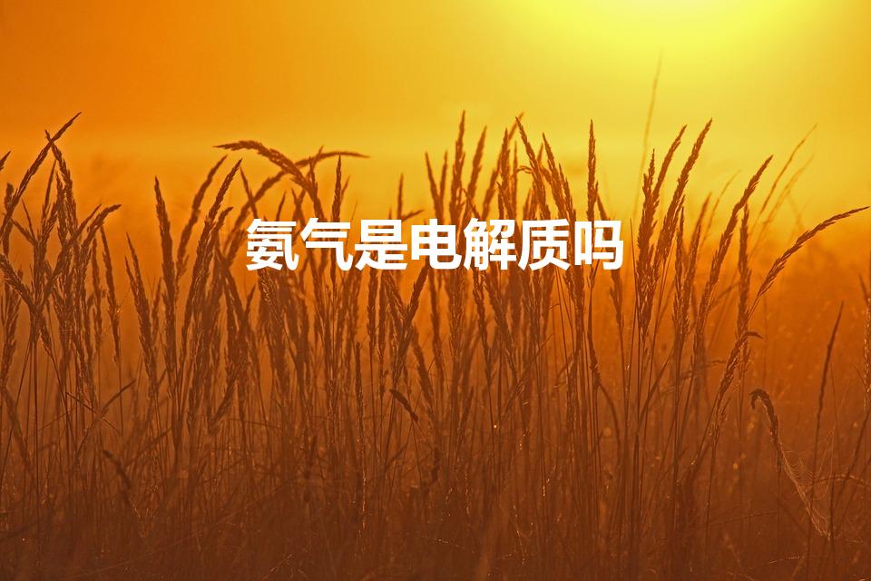 氨气是电解质吗（氨气是不是电解质）