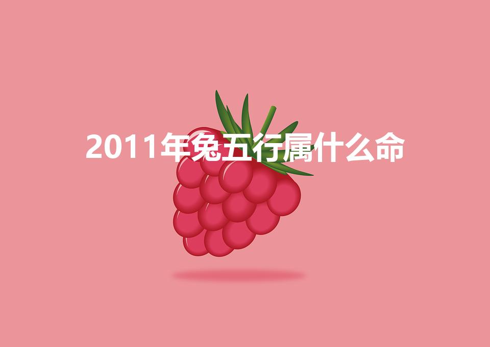 2011年兔五行属什么命（2011年属兔是什么命）