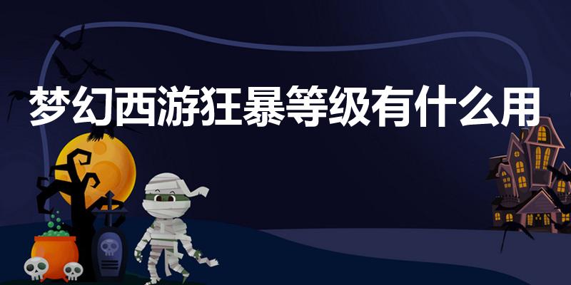 梦幻西游狂暴等级有什么用（梦幻西游戒指狂暴属性什么意思）