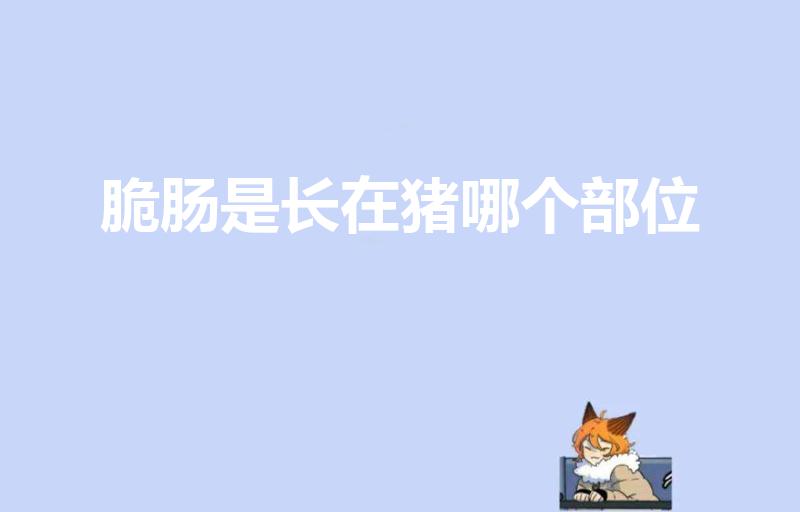 脆肠是长在猪哪个部位（脆肠是哪个部位）