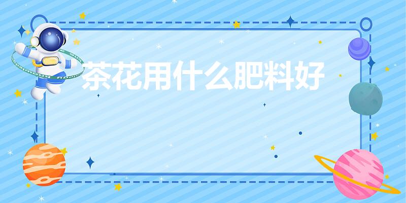 茶花用什么肥料好（茶花要上什么肥料）