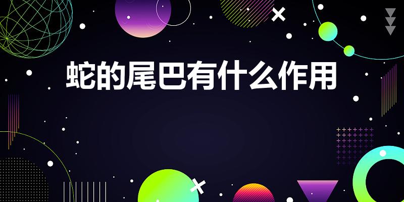 蛇的尾巴有什么作用（蛇尾巴有什么功能）