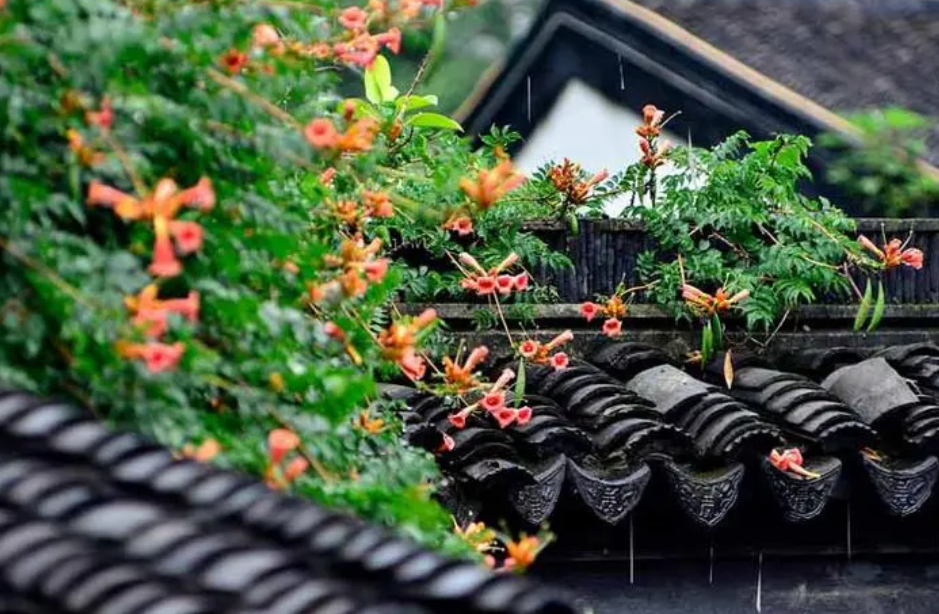 梅雨季节是什么意思（梅雨季节的特点）