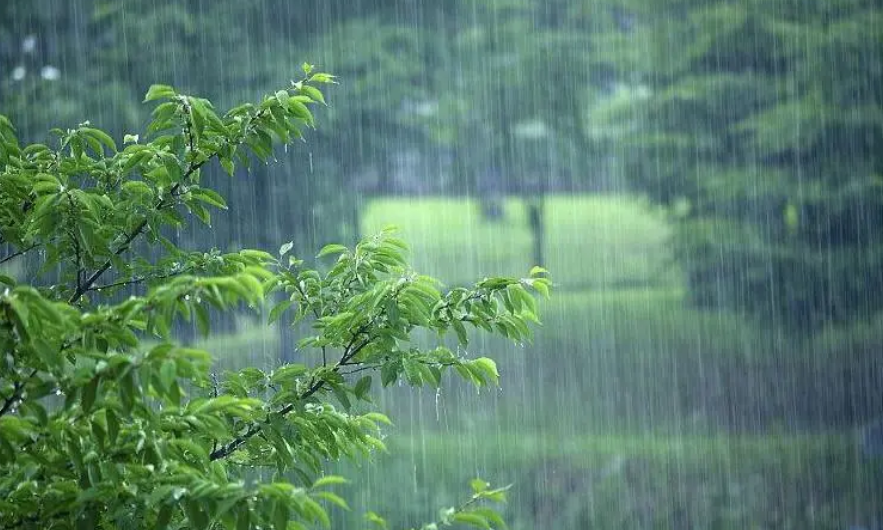 梅雨季节是什么意思（梅雨季节的特点）