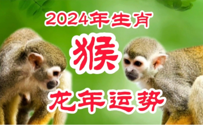 属猴的在2024年是多大年龄（属猴的人在龙年命理详解）