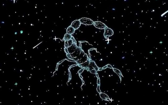 2024年十月初十是什么星座，天蝎座的性格特征是什么