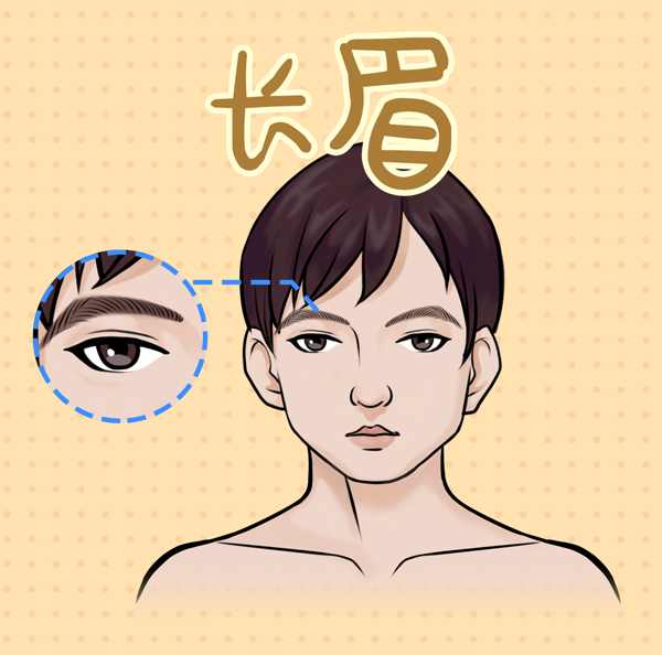 眉毛长的男人性格特点8种眉毛看男人性格