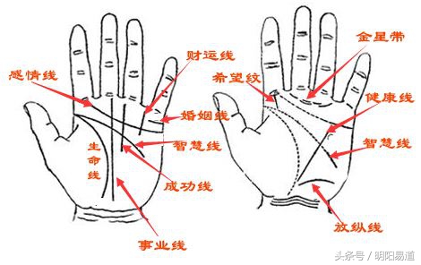 手相三条线分别是什么意思手掌的三条线命运图解
